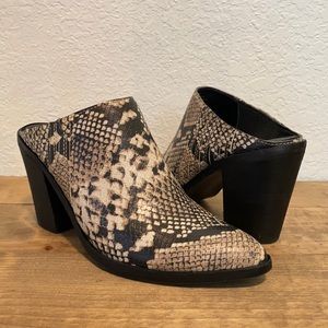 Treasure & Bond snake skin Mules purchased from Nordstrom.